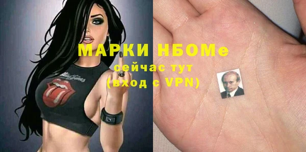 твердый Пересвет