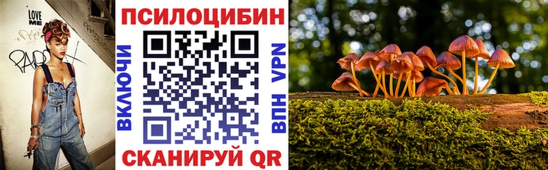 Галлюциногенные грибы Psilocybine cubensis Баймак