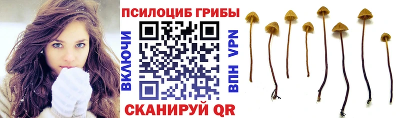 Купить  Баймак  Псилоцибиновые грибы ЛСД 